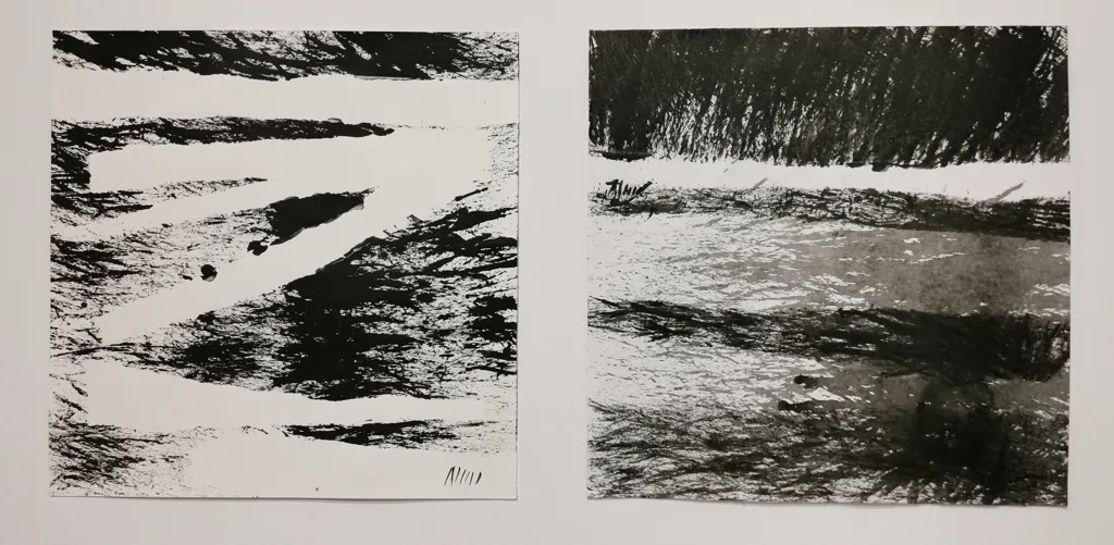 alma_cace_metabolism_colection_washed_ink_on_paper_33x33_cm_piece